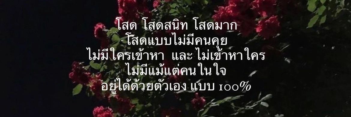 น้องปาน 💗 สาวเหนือ's banner