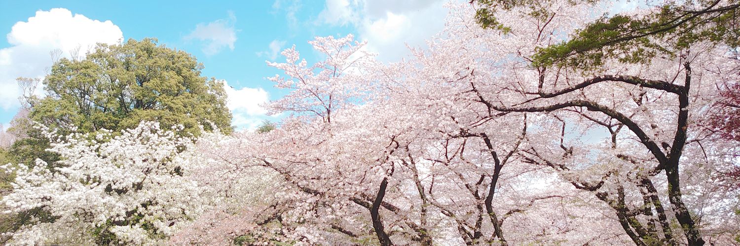 佐藤榛夏's banner