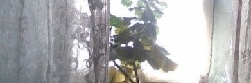 7 jaypril ⊹'s banner