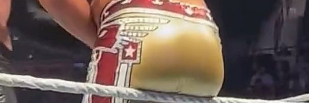 WWE MEN'S BULGES & BOOTYS's banner