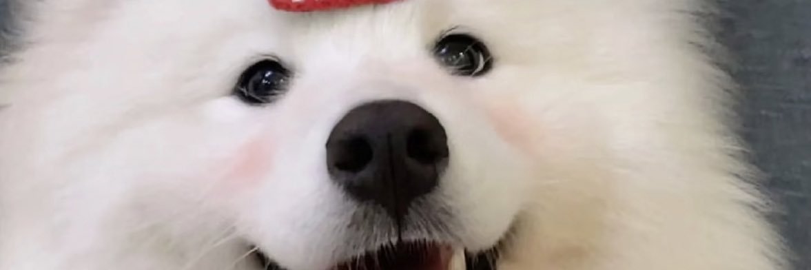 楽嘢呀_'s banner