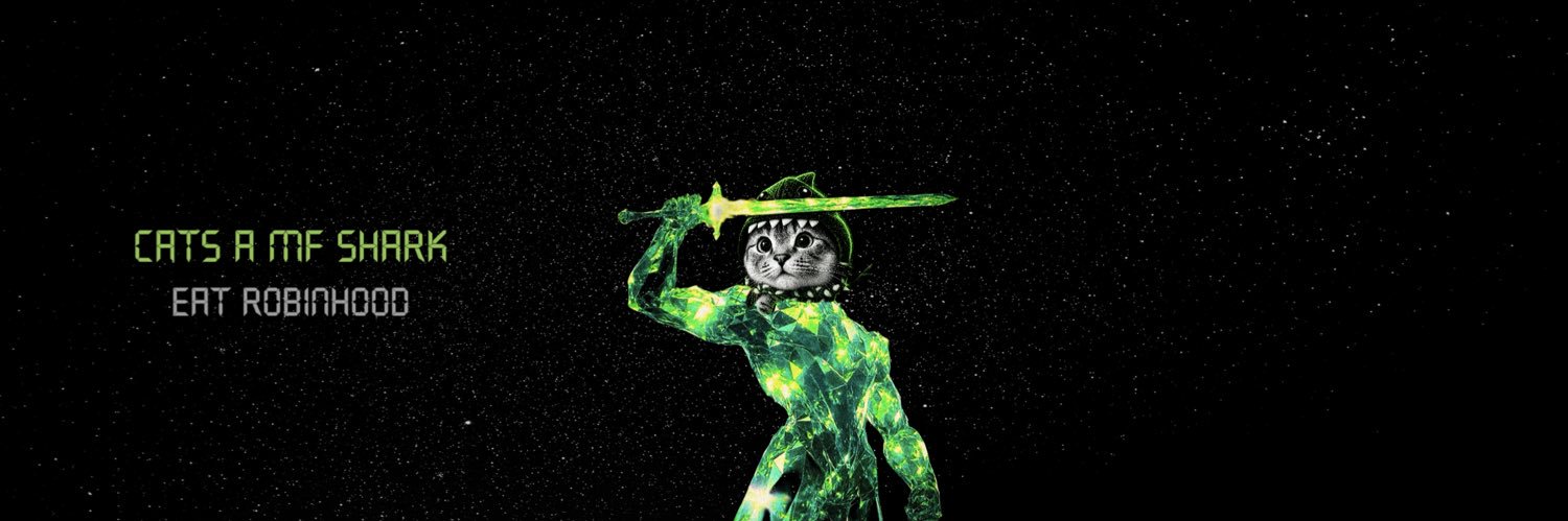 Shark Cat 🦈🐱's banner