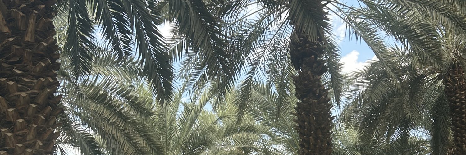 ℳ's banner