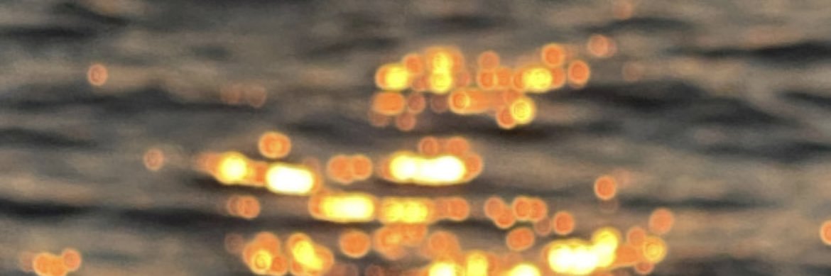 贪吃的宋柒柒's banner