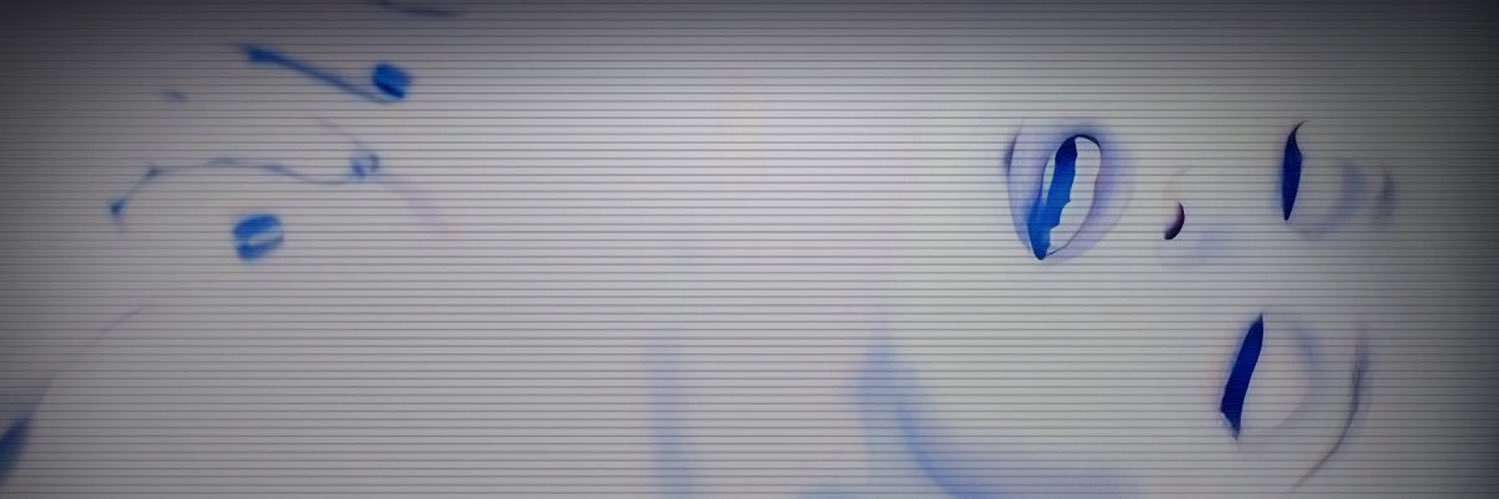 J ★'s banner