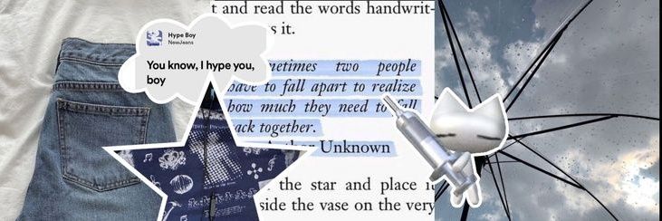 revi's banner