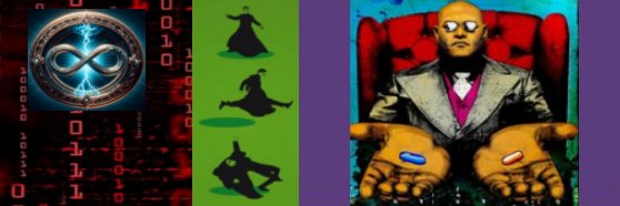 🐞Paloma 🐞's banner