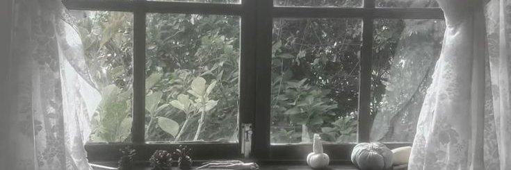 rei's banner
