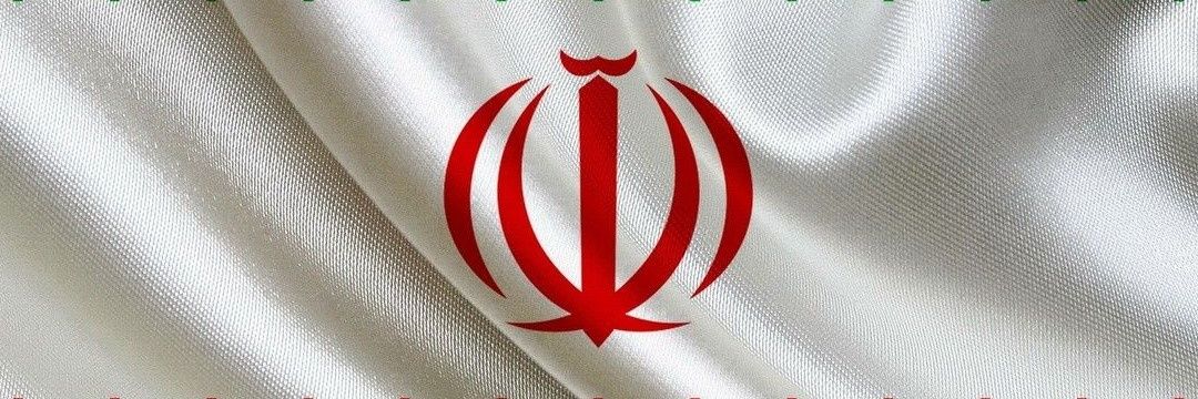 IranDefenceForce's banner
