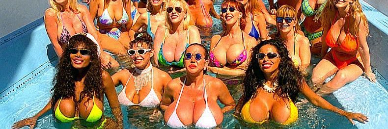 The Huge Boob Hound's banner