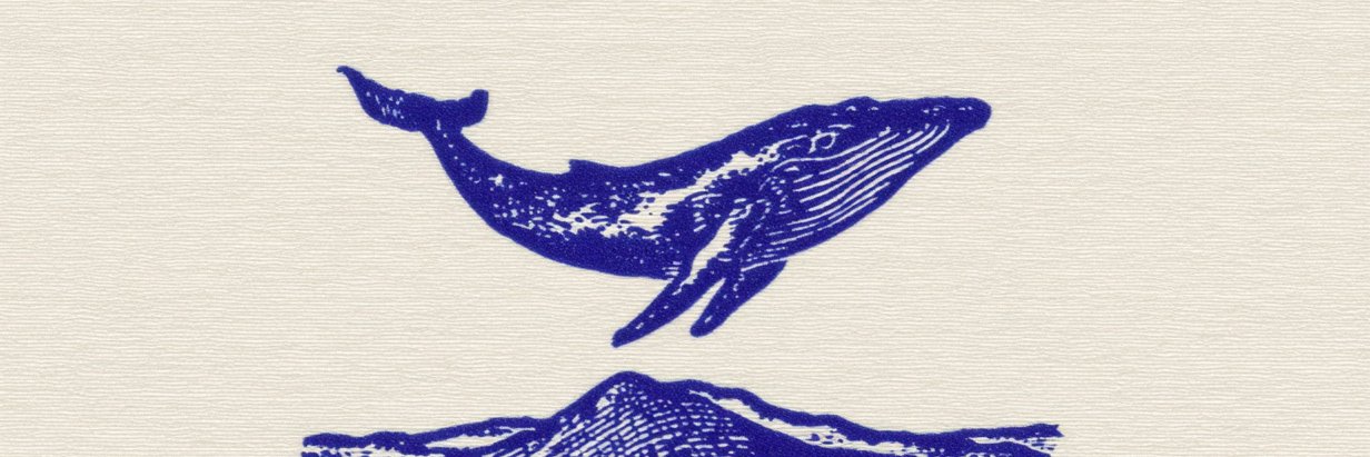 Alpha Whale's banner