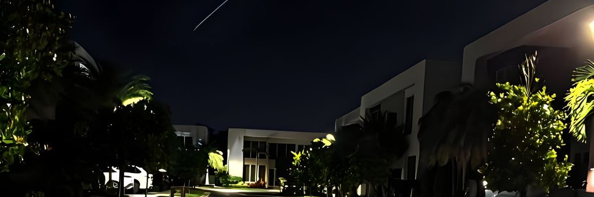 Diana Too's banner