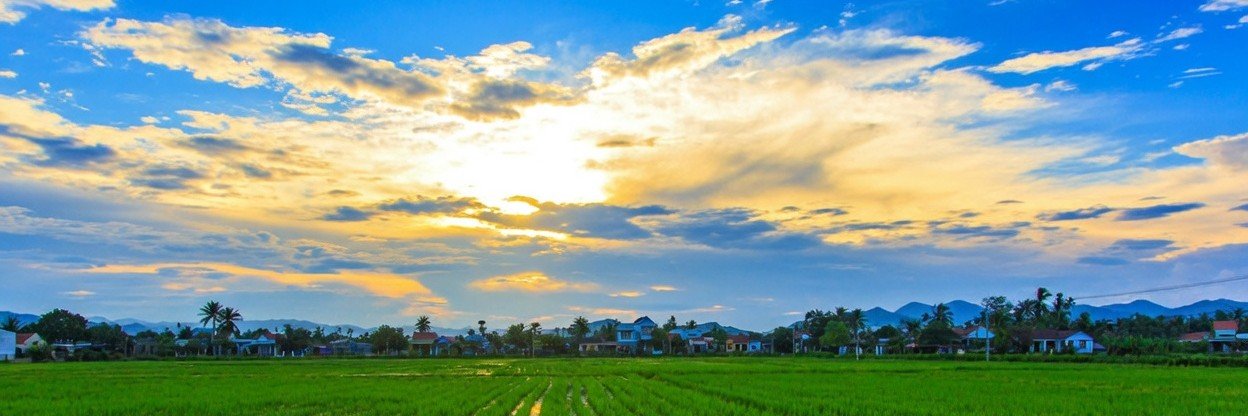 style_339's banner