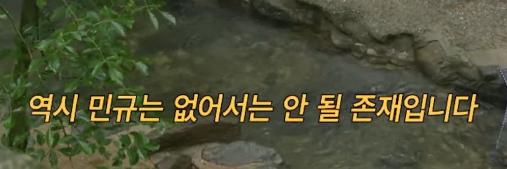 밍뀨's banner