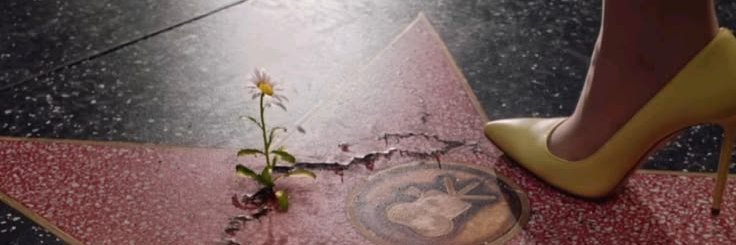 katie ♡⸝⸝'s banner