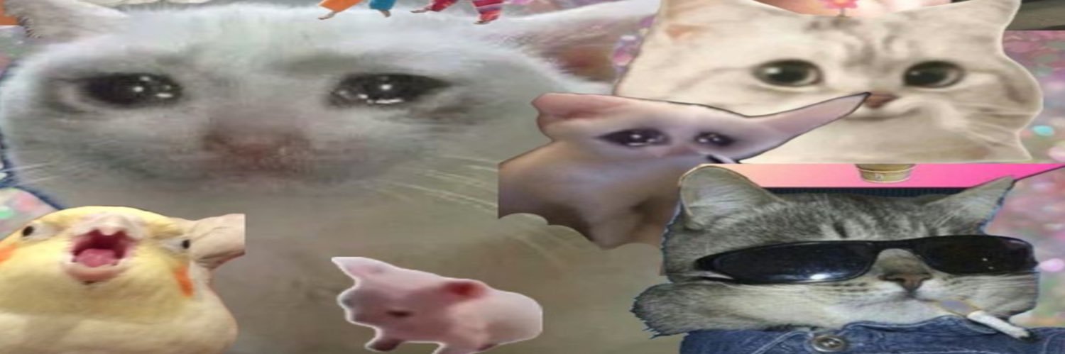 Donny pt2's banner