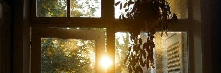 bet✰'s banner
