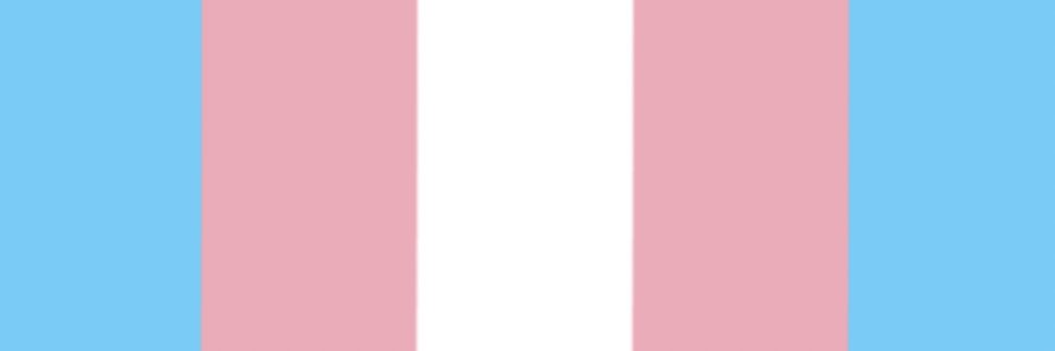 puddle puppet's banner