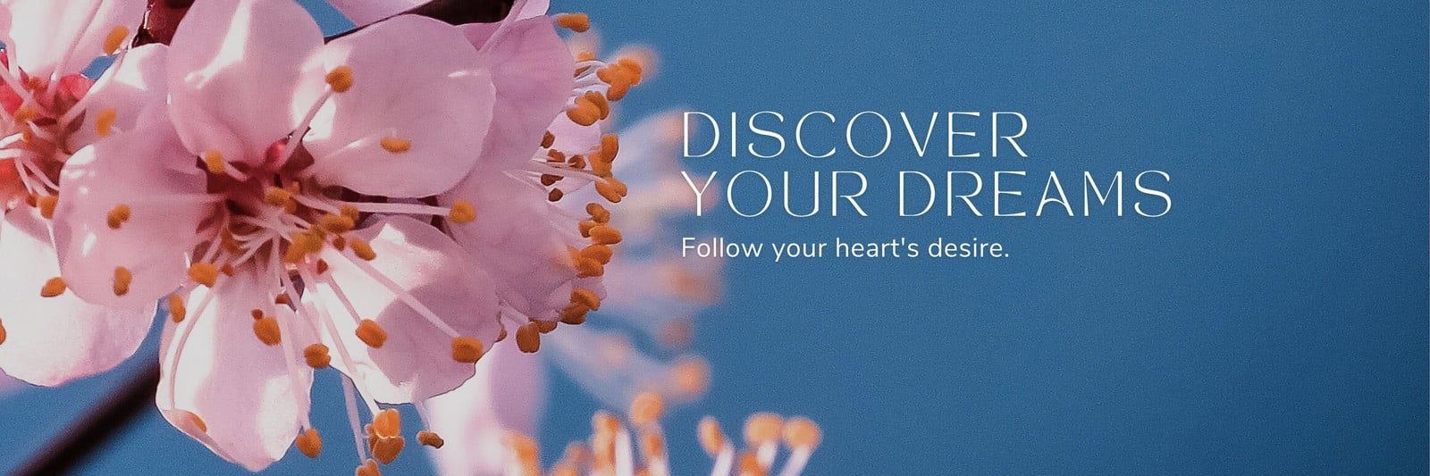 𝐻𝒶𝓇𝓇𝓎's banner