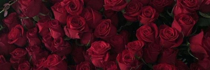𝑪𝒂𝒏𝒅𝒚 💋's banner