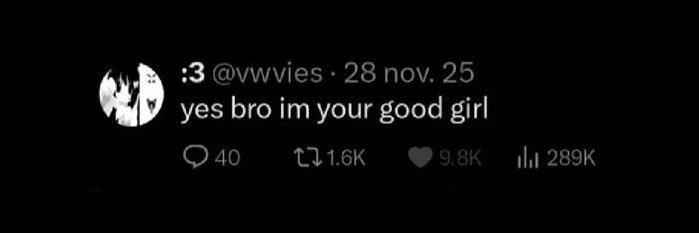 eat my 🐱 ho's banner