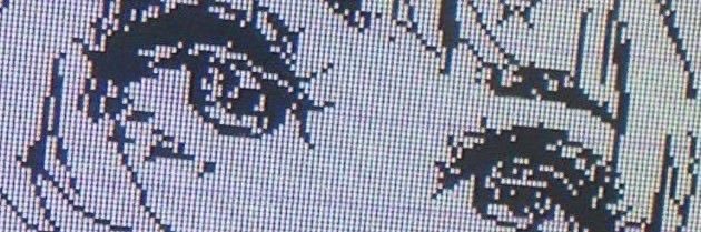 𝑻𝑶𝑲𝑰𝑶 𝑨𝑴𝑶𝑹 𝑫𝑬 𝑻𝑼 𝑽𝑰𝑫𝑨 🌸's banner