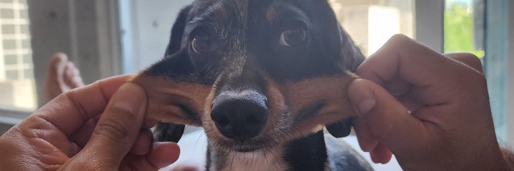 VALENTIN 😇's banner
