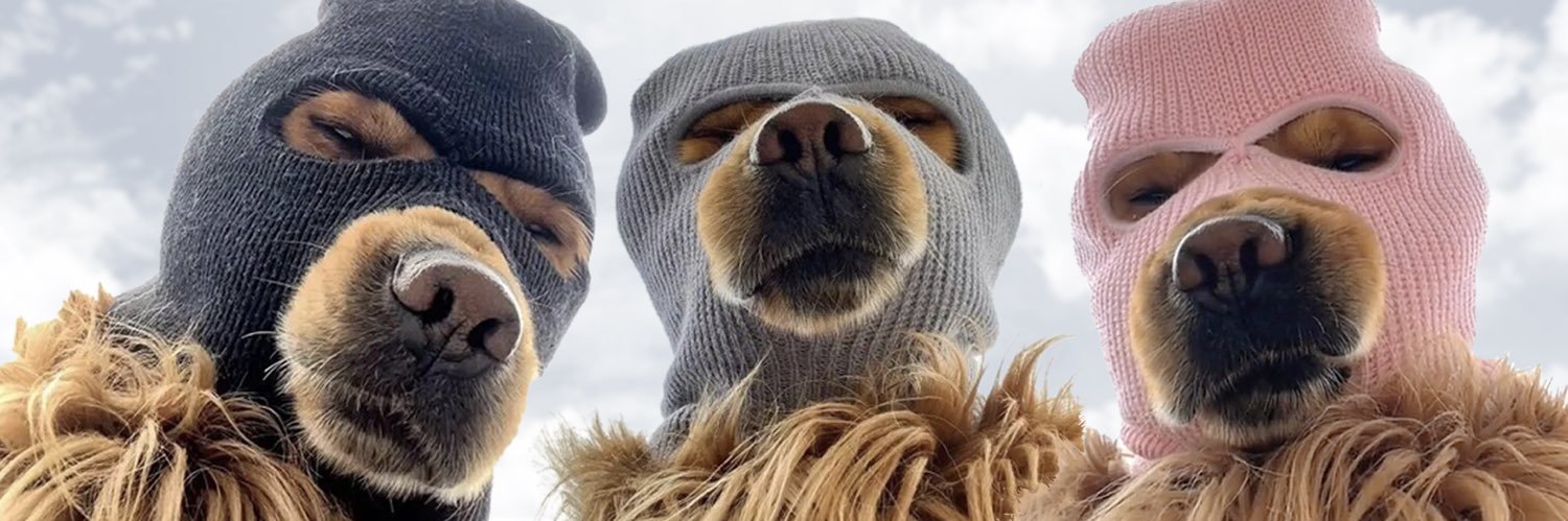 Ski Mask Dog's banner