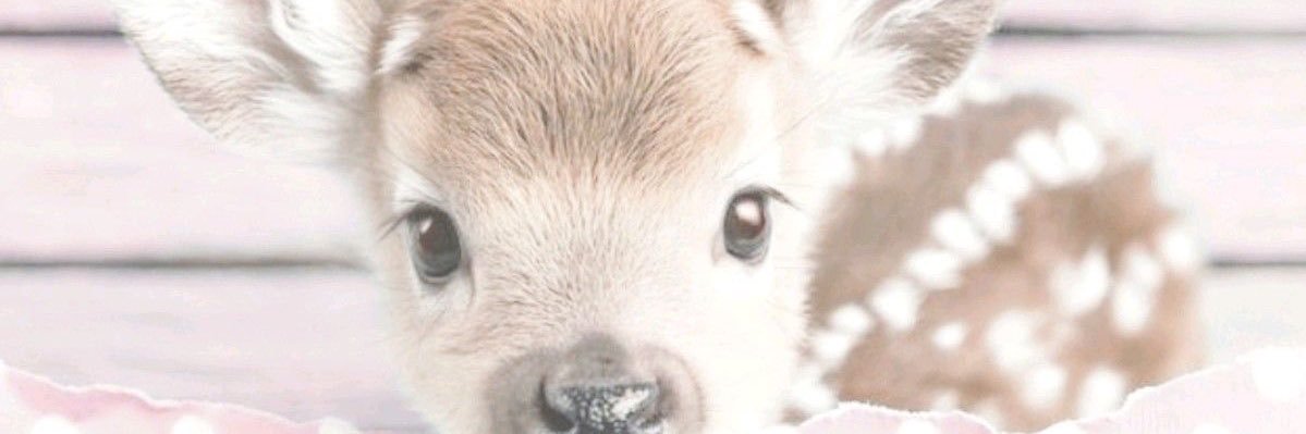 rinyla's banner
