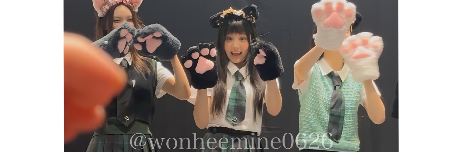 ウォニのとりめし（닭）🐔's banner