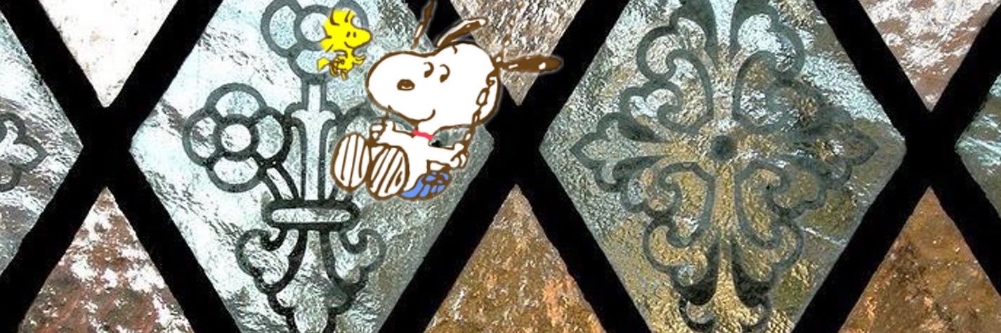 𖤝's banner