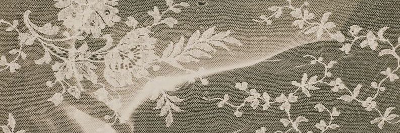 ໊ 𓃹's banner