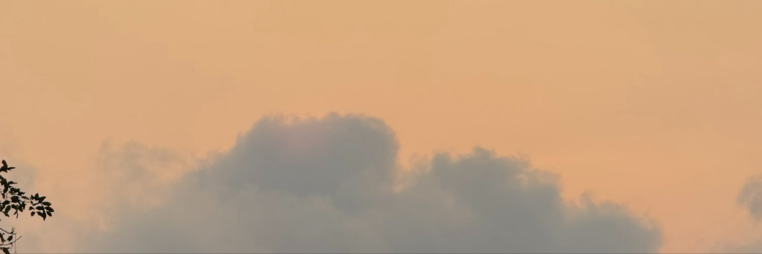 little cat's banner