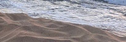 🐚🌊's banner