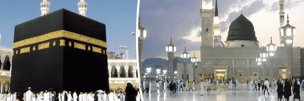 عبدالرحمن الزهراني's banner