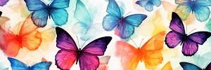 Lliure🌻's banner
