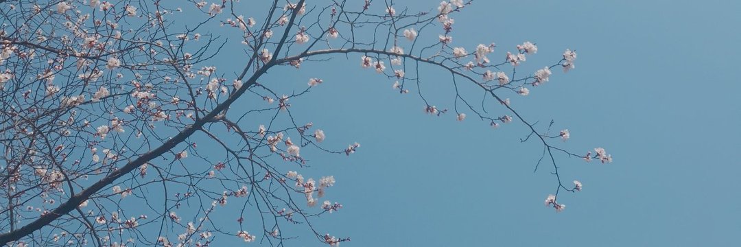 sĭᴍᴜʟ's banner