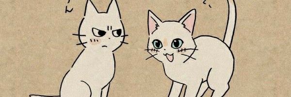 友美's banner