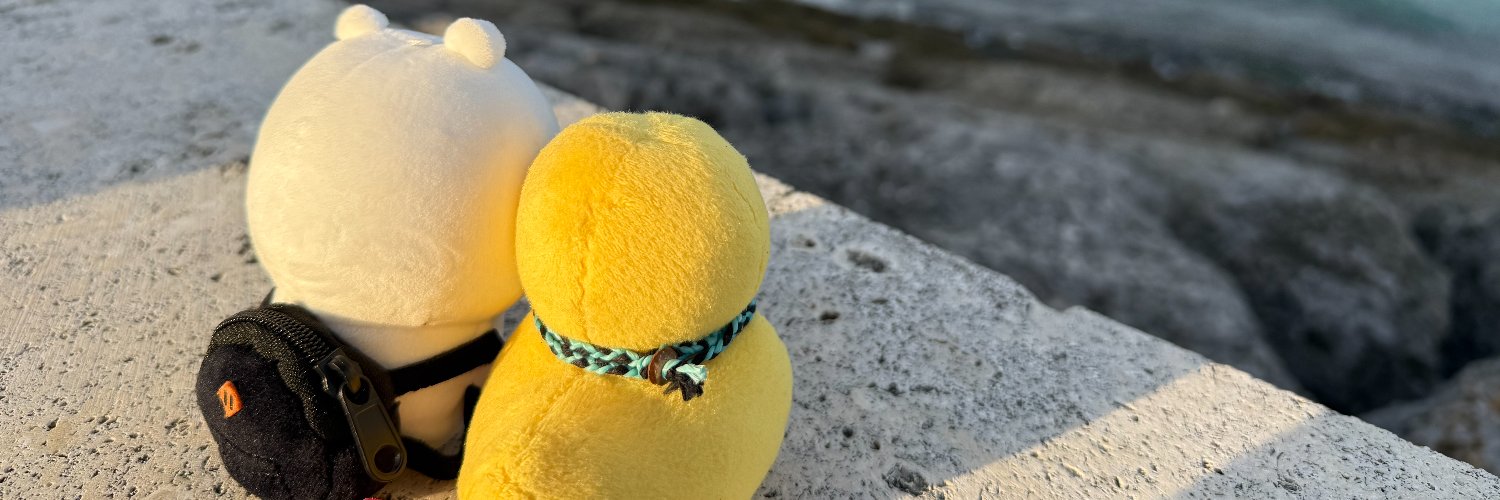 ぴよこさん's banner