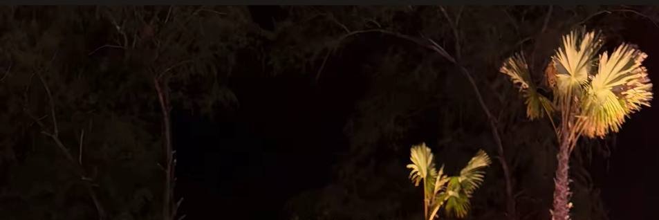 瑤瑤's banner