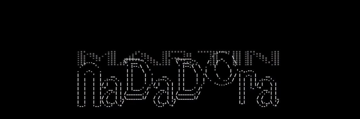 nerea *ੈ✩‧₊˚'s banner