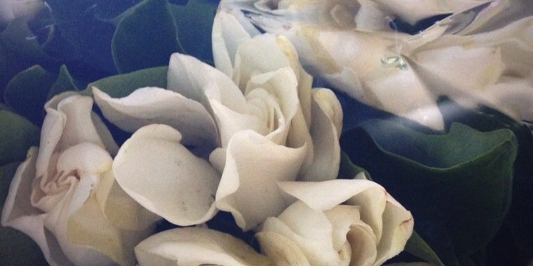 noelia marzol's banner