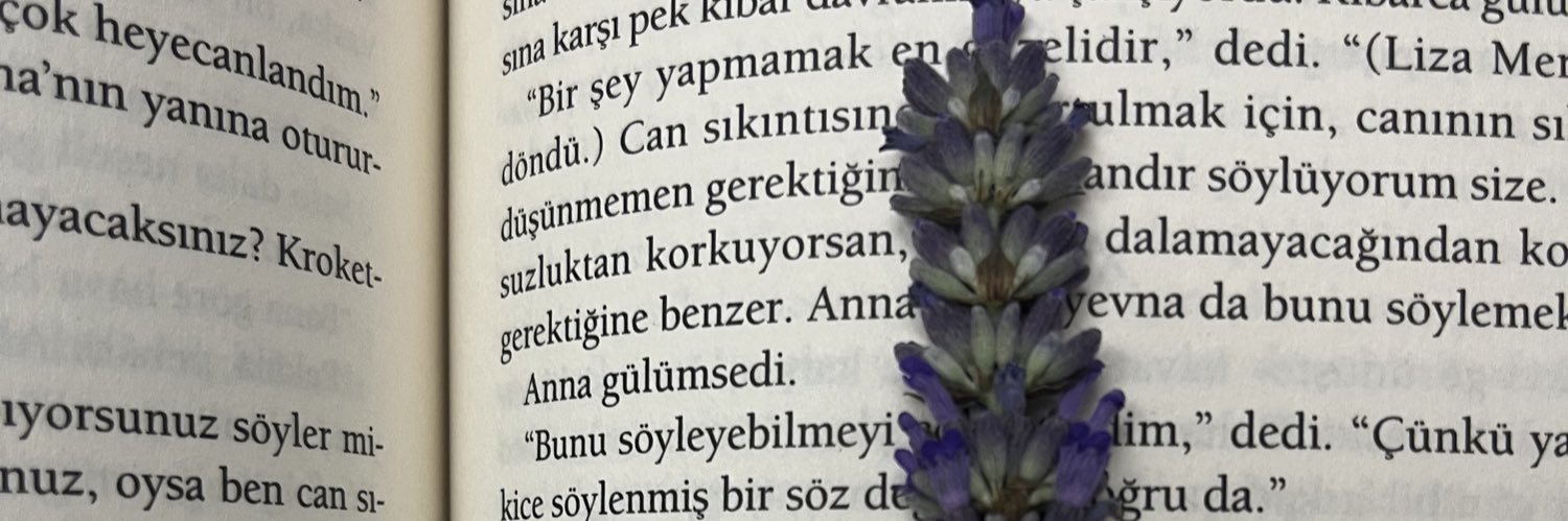 anna karenina's banner
