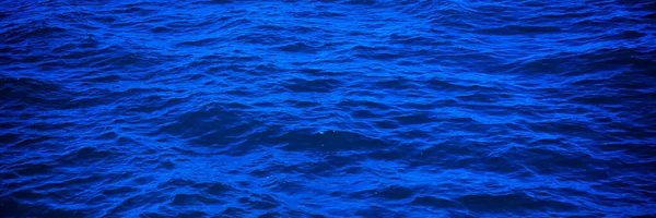 Moby Dick's banner
