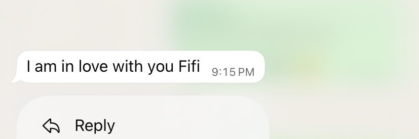 FIFI🌟's banner
