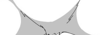 寒天's banner