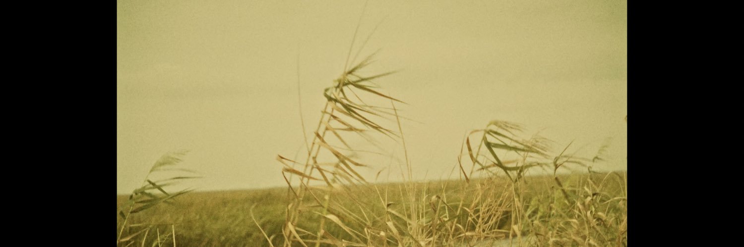 maxon's banner