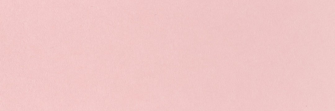 Adriana Chechik FanPage's banner