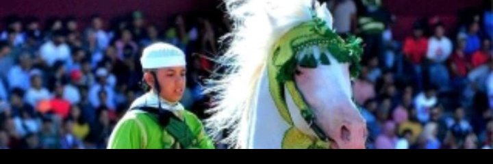 بايباااااي 🇲🇦🇲🇦🇲🇦الله 👈الوطن🇲🇦الملك🇲🇦's banner
