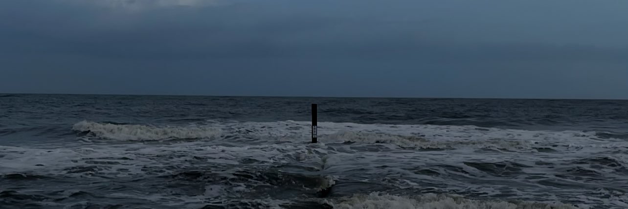 Roundish-guy's banner